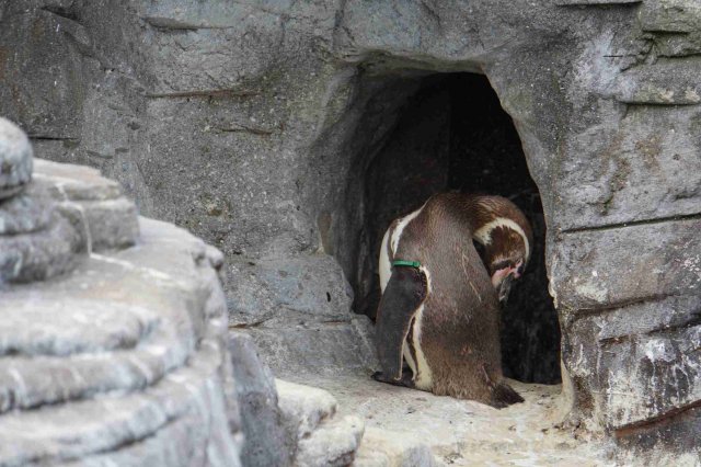 Ozeaneum Stralsund